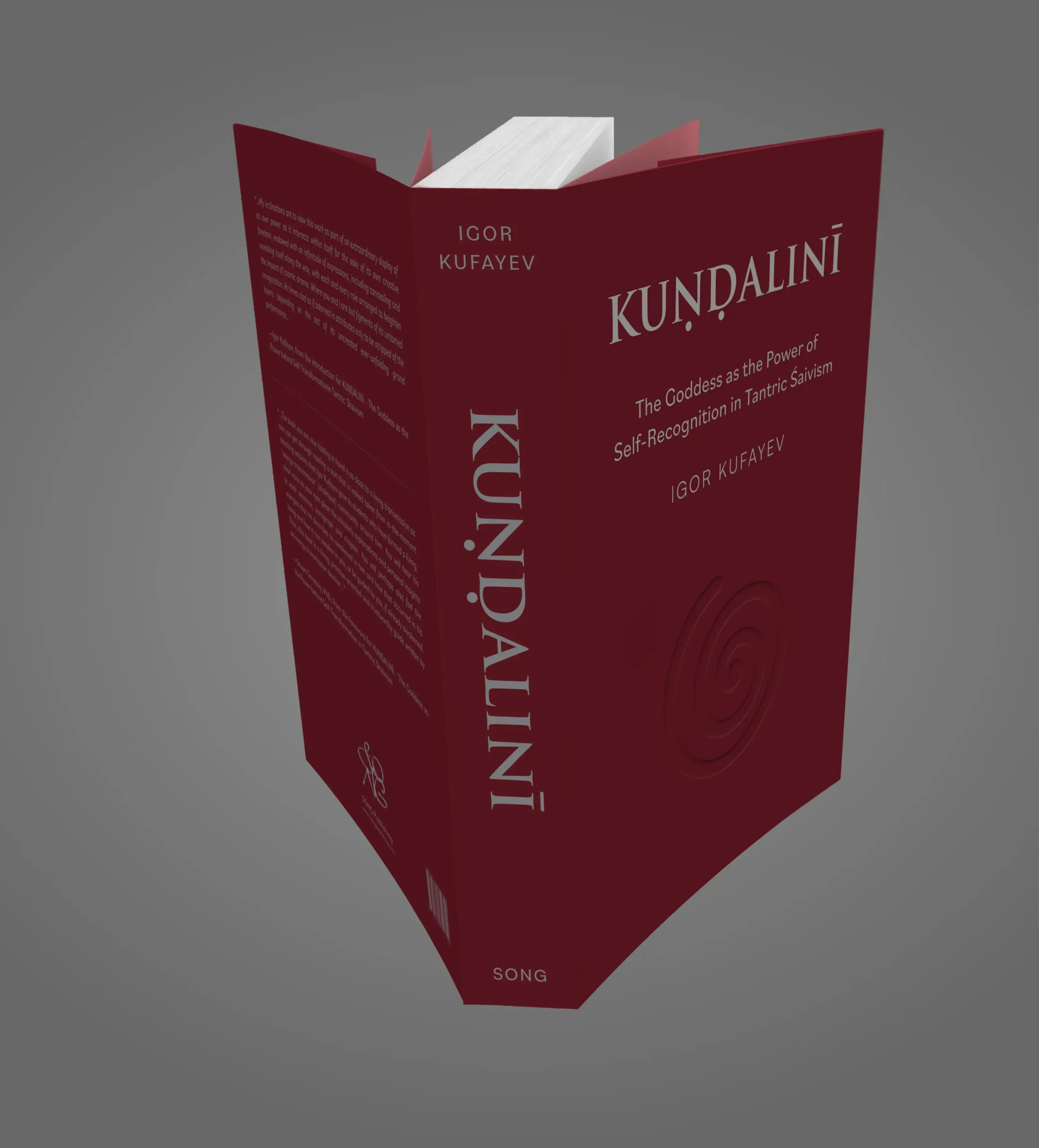 KUṆḌALINĪ - Image 4